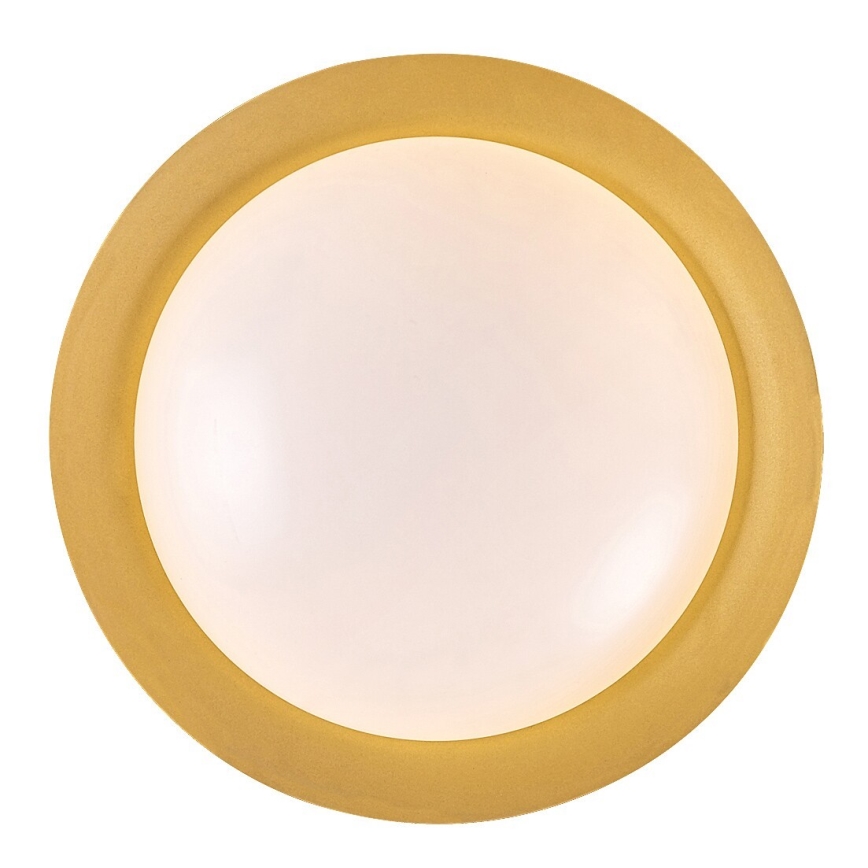Rabalux - LED Stropna svjetiljka LED/20W/230V 3000K pr. 30 cm