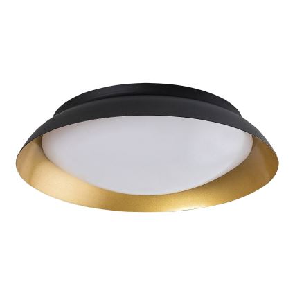 Rabalux - LED Stropna svjetiljka LED/20W/230V 3000K pr. 30 cm