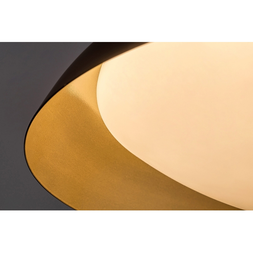 Rabalux - LED Stropna svjetiljka LED/20W/230V 3000K pr. 30 cm