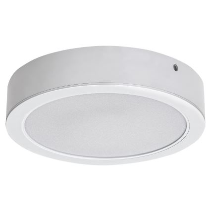 Rabalux - LED Stropna svjetiljka LED/15W/230V 4000K pr. 16 cm bijela