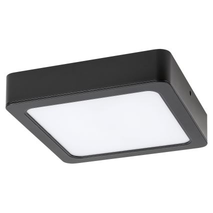 Rabalux - LED Stropna svjetiljka LED/24W/230V 4000K 22x22 cm crna