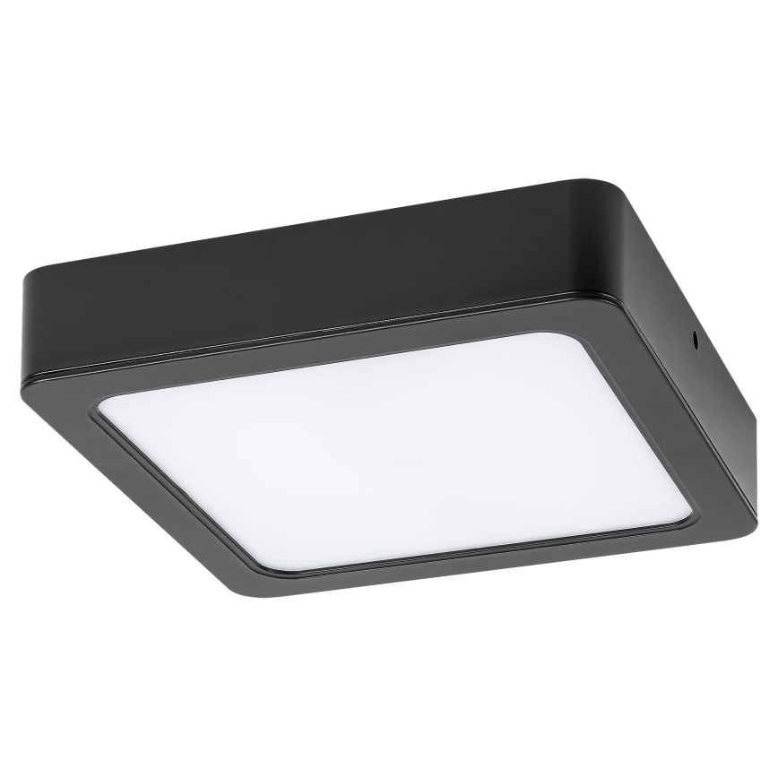 Rabalux - LED Stropna svjetiljka LED/24W/230V 4000K 22x22 cm crna