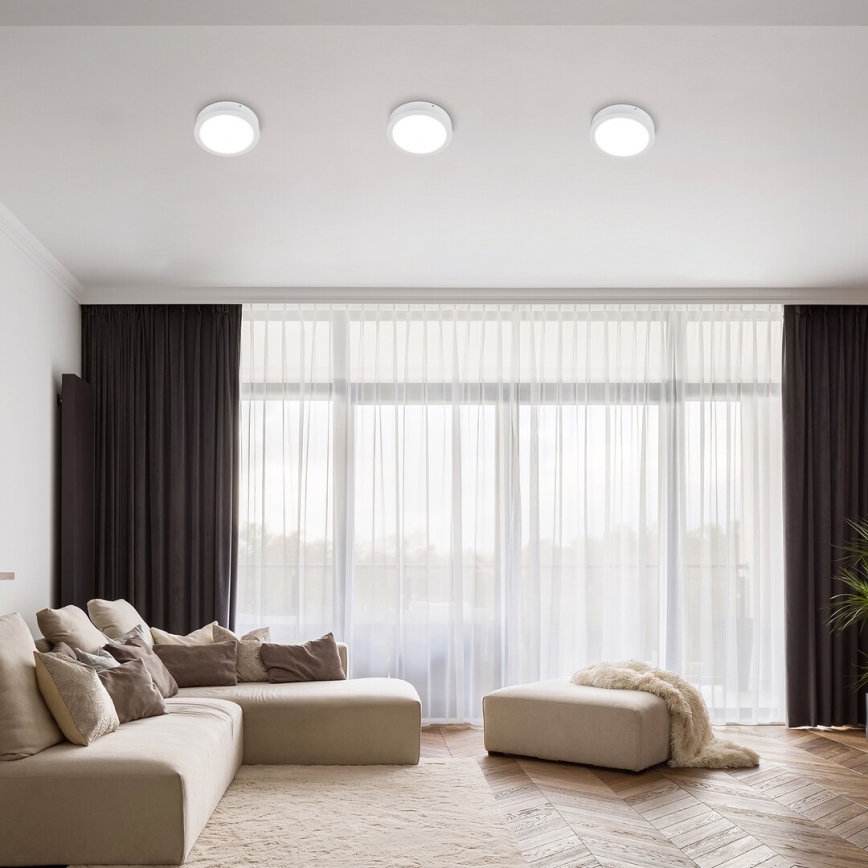 Rabalux - LED Stropna svjetiljka LED/24W/230V 3000K pr. 22 cm bijela