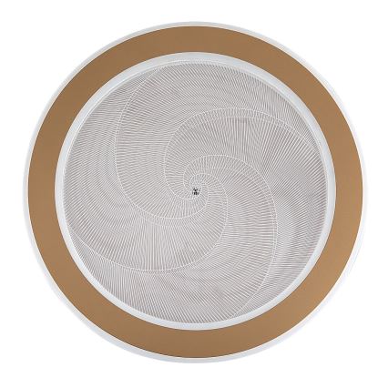 Rabalux - Prigušiva LED stropna svjetiljka LED/24W/230V 3000-6500K Ø 40 cm + daljinski upravljač