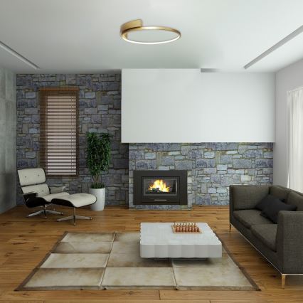 Rabalux - LED Stropna svjetiljka LED/23W/230V