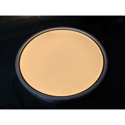 Rabalux - LED Stropna svjetiljka LED/37W/230V