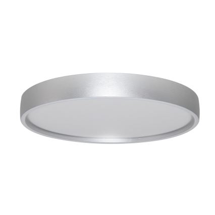Rabalux - LED Stropna svjetiljka LED/37W/230V