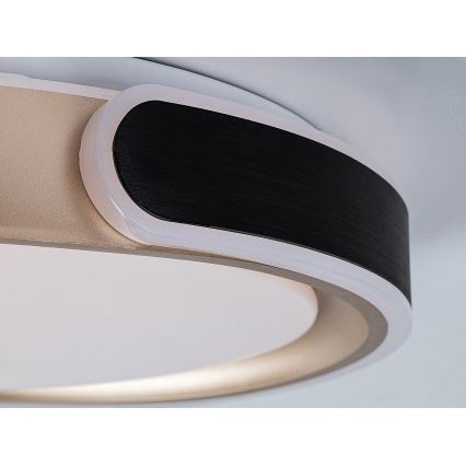 Rabalux - LED Prigušiva stropna svjetiljka LED/48W/230V 3000-6500K + daljinski upravljač