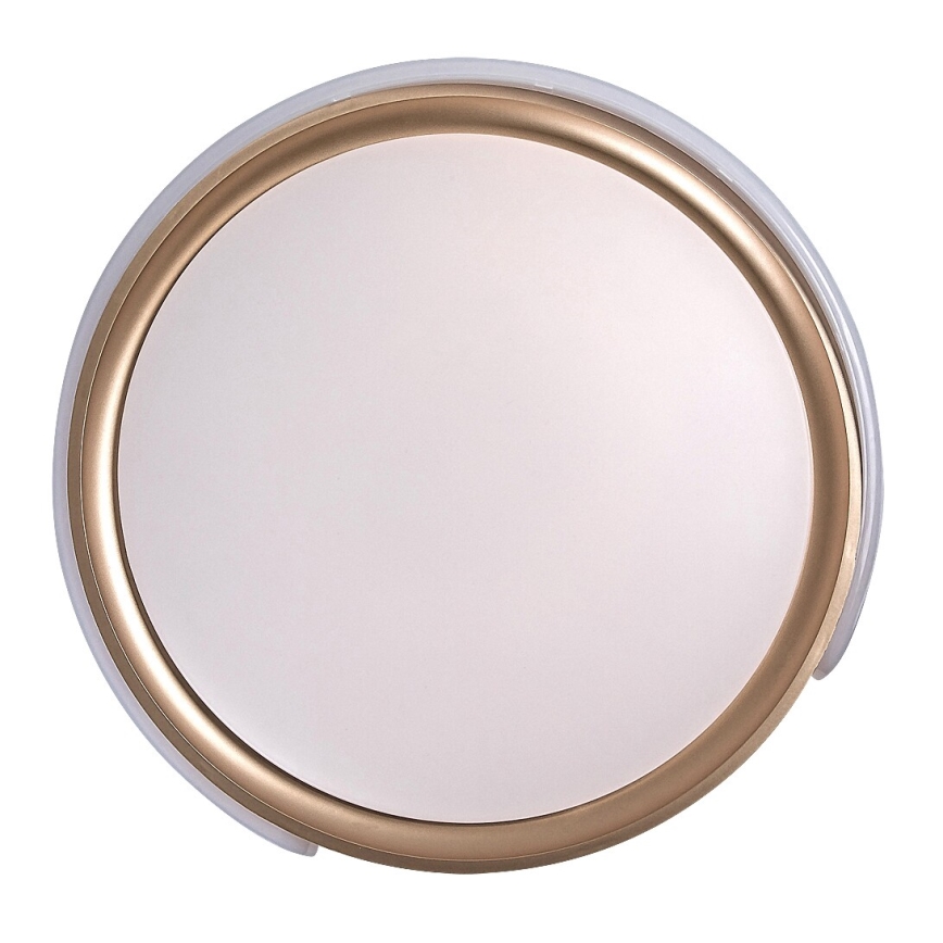 Rabalux - LED Prigušiva stropna svjetiljka LED/48W/230V 3000-6500K + daljinski upravljač