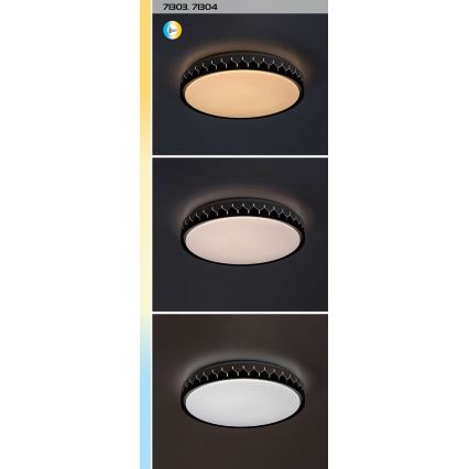 Rabalux - LED Prigušiva stropna svjetiljka LED/48W/230V 3000-6500K + daljinski upravljač
