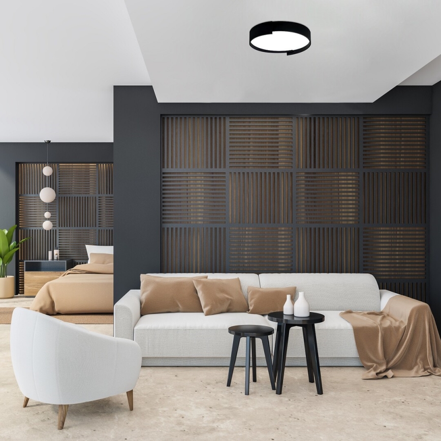 Rabalux - LED Prigušiva stropna svjetiljka LED/24W/230V 3000-6500K + daljinski upravljač