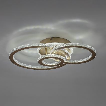 Rabalux - LED stropno svjetlo s mogućnošću prigušivanja LED/40W/230V 3000-6500K + daljinsko upravljanje