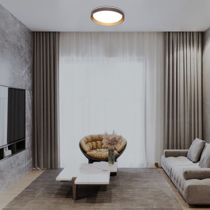 Rabalux - LED Prigušiva stropna svjetiljka LED/48W/230V 3000-6500K + daljinski upravljač