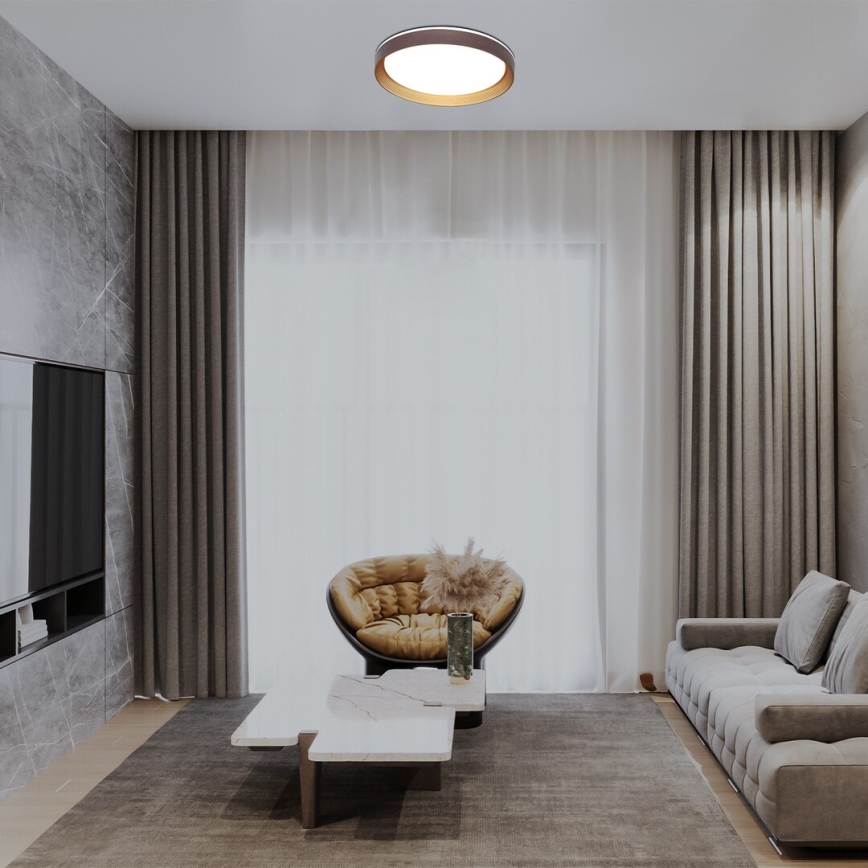 Rabalux - LED Prigušiva stropna svjetiljka LED/48W/230V 3000-6500K + daljinski upravljač