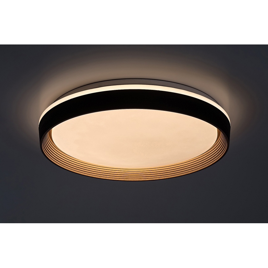 Rabalux - LED Prigušiva stropna svjetiljka LED/48W/230V 3000-6500K + daljinski upravljač