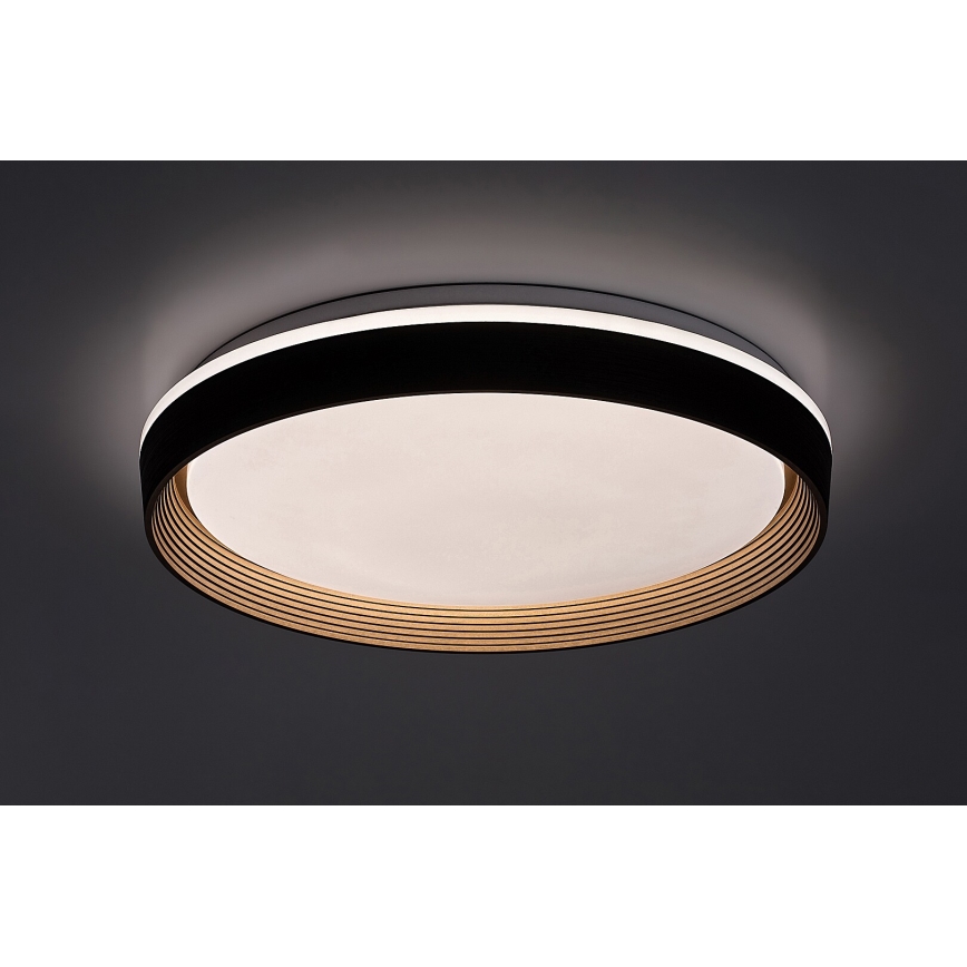 Rabalux - LED Prigušiva stropna svjetiljka LED/48W/230V 3000-6500K + daljinski upravljač
