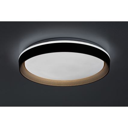 Rabalux - LED Prigušiva stropna svjetiljka LED/48W/230V 3000-6500K + daljinski upravljač