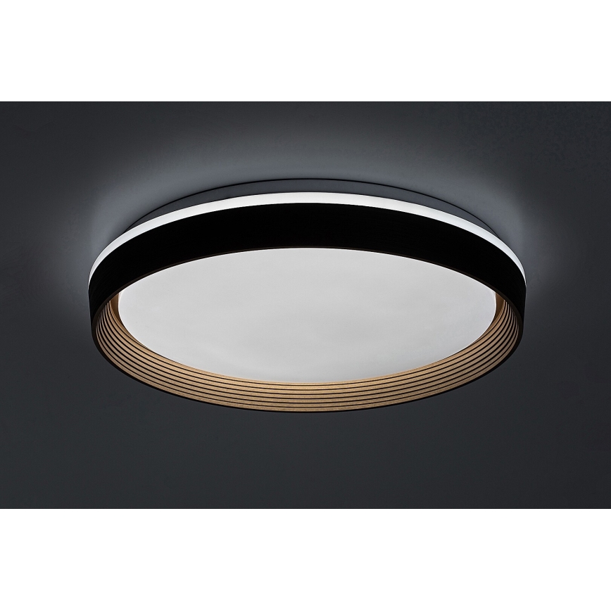 Rabalux - LED Prigušiva stropna svjetiljka LED/48W/230V 3000-6500K + daljinski upravljač