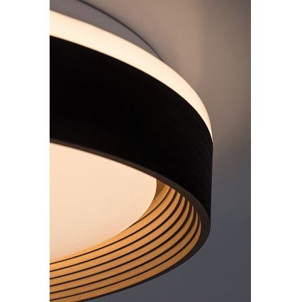 Rabalux - LED Prigušiva stropna svjetiljka LED/48W/230V 3000-6500K + daljinski upravljač
