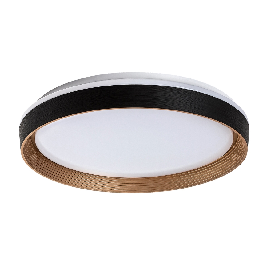Rabalux - LED Prigušiva stropna svjetiljka LED/48W/230V 3000-6500K + daljinski upravljač