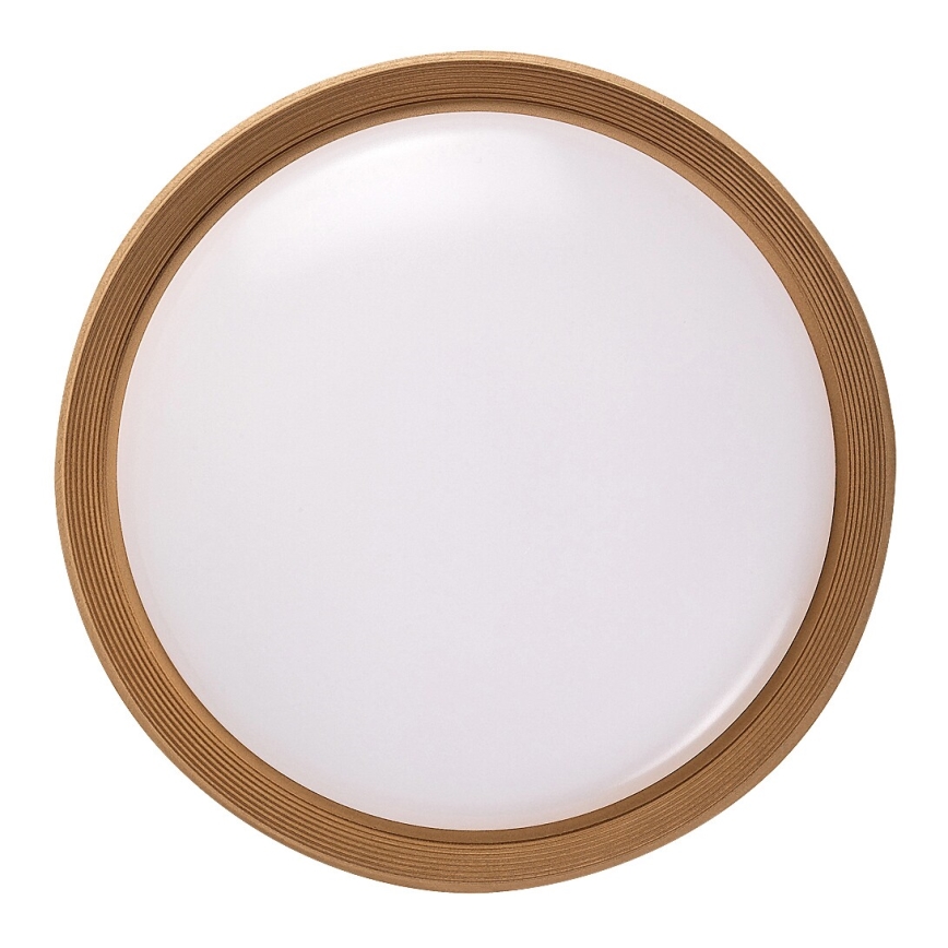Rabalux - LED Prigušiva stropna svjetiljka LED/48W/230V 3000-6500K + daljinski upravljač