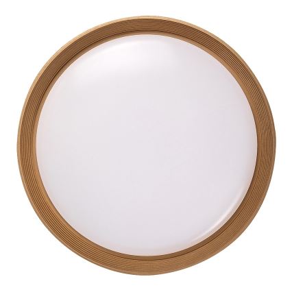 Rabalux - LED stropna svjetiljka s prigušivanjem LED/48W/230V 3000-6500K + daljinski upravljač