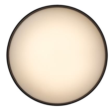 Rabalux - LED Stropna svjetiljka LED/16W/230V 3000K crna