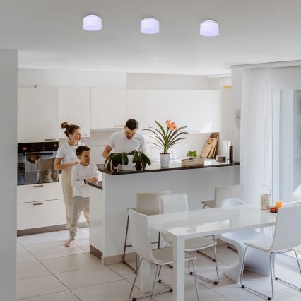 Rabalux - LED Stropna svjetiljka LED/24W/230V 3000K bijela