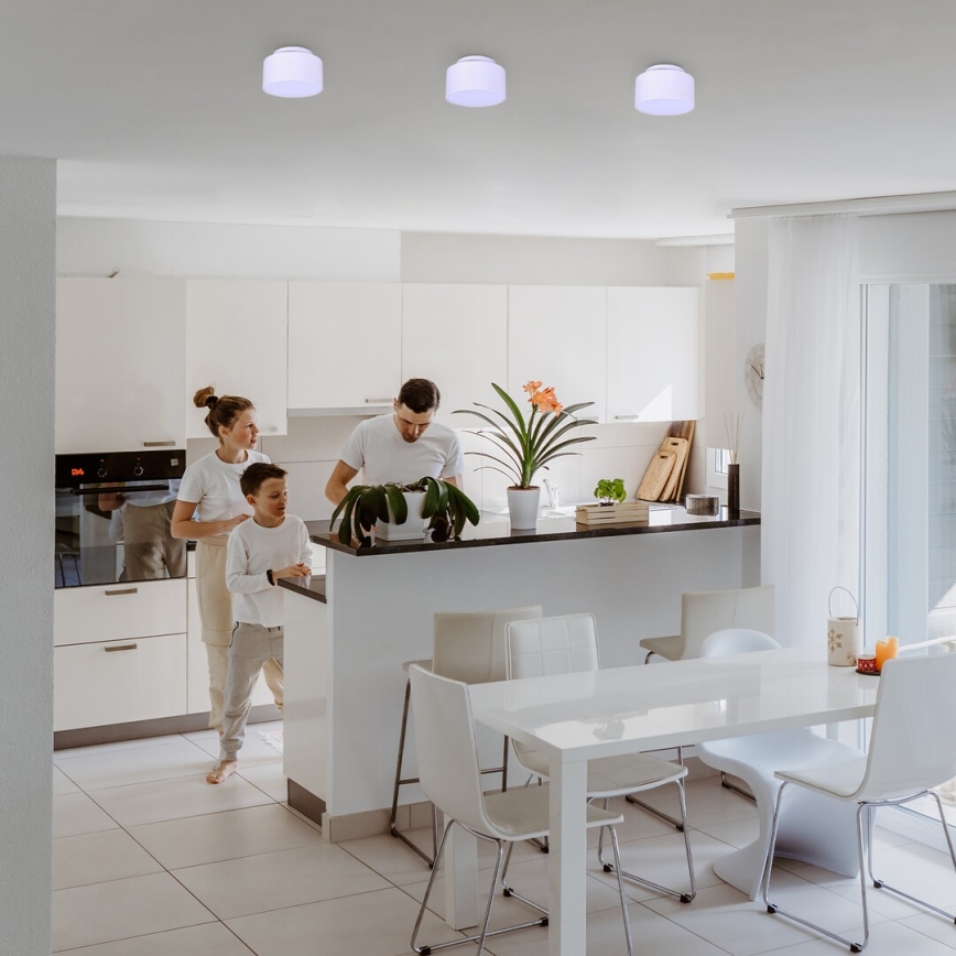 Rabalux - LED Stropna svjetiljka LED/24W/230V 3000K bijela
