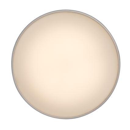 Rabalux - LED Stropna svjetiljka LED/24W/230V 3000K bijela