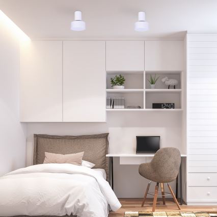 Rabalux - LED Stropna svjetiljka LED/10W/230V 3000K bijela