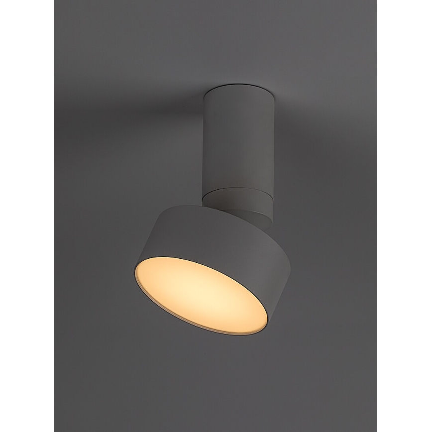 Rabalux - LED Stropna svjetiljka LED/10W/230V 3000K bijela