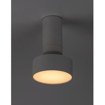 Rabalux - LED Stropna svjetiljka LED/10W/230V 3000K bijela