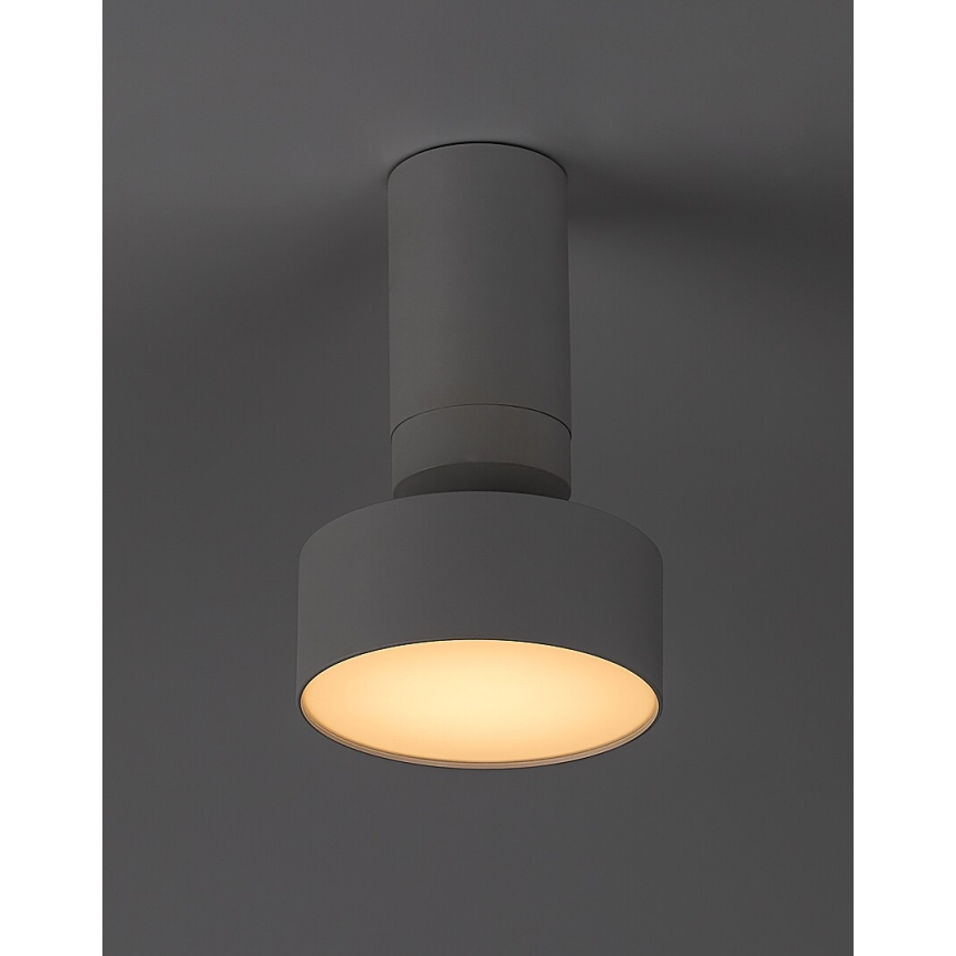 Rabalux - LED Stropna svjetiljka LED/10W/230V 3000K bijela