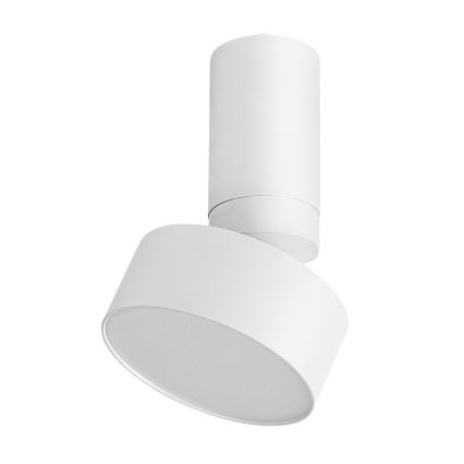 Rabalux - LED Stropna svjetiljka LED/10W/230V 3000K bijela