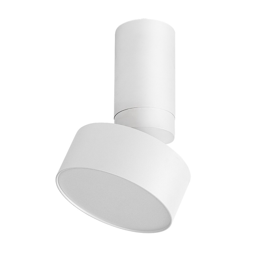 Rabalux - LED Stropna svjetiljka LED/10W/230V 3000K bijela