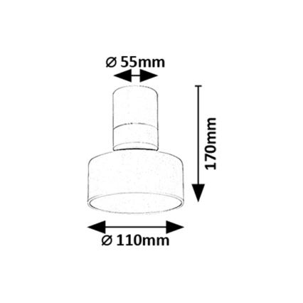 Rabalux - LED Stropna svjetiljka LED/10W/230V 3000K bijela