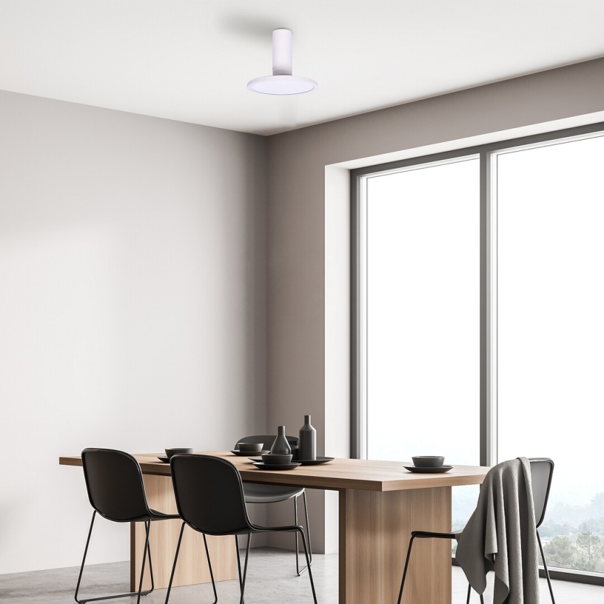 Rabalux - LED stropna svjetiljka LED/20W/230V 3000K bijela Ø 20 cm