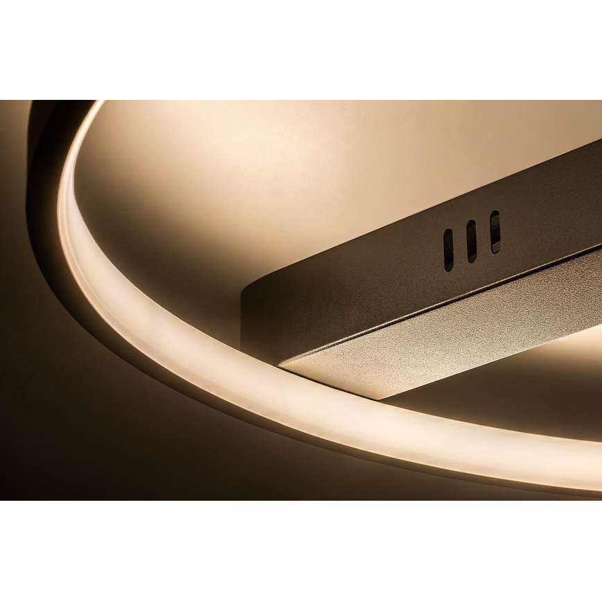 Rabalux - LED stropna svjetiljka LED/45W/230V 3000K 50x55 cm crna