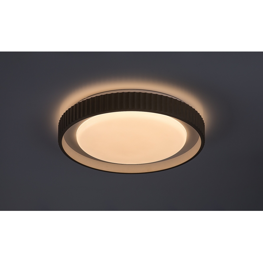 Rabalux - LED stropno svjetlo s prigušivanjem LED/48W/230V 3000-6500K Ø 49,5 cm + daljinski upravljač