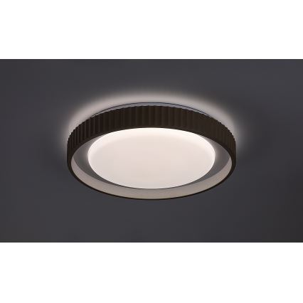 Rabalux - LED stropno svjetlo s prigušivanjem LED/48W/230V 3000-6500K Ø 49,5 cm + daljinski upravljač
