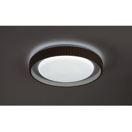 Rabalux - LED stropno svjetlo s prigušivanjem LED/48W/230V 3000-6500K Ø 49,5 cm + daljinski upravljač