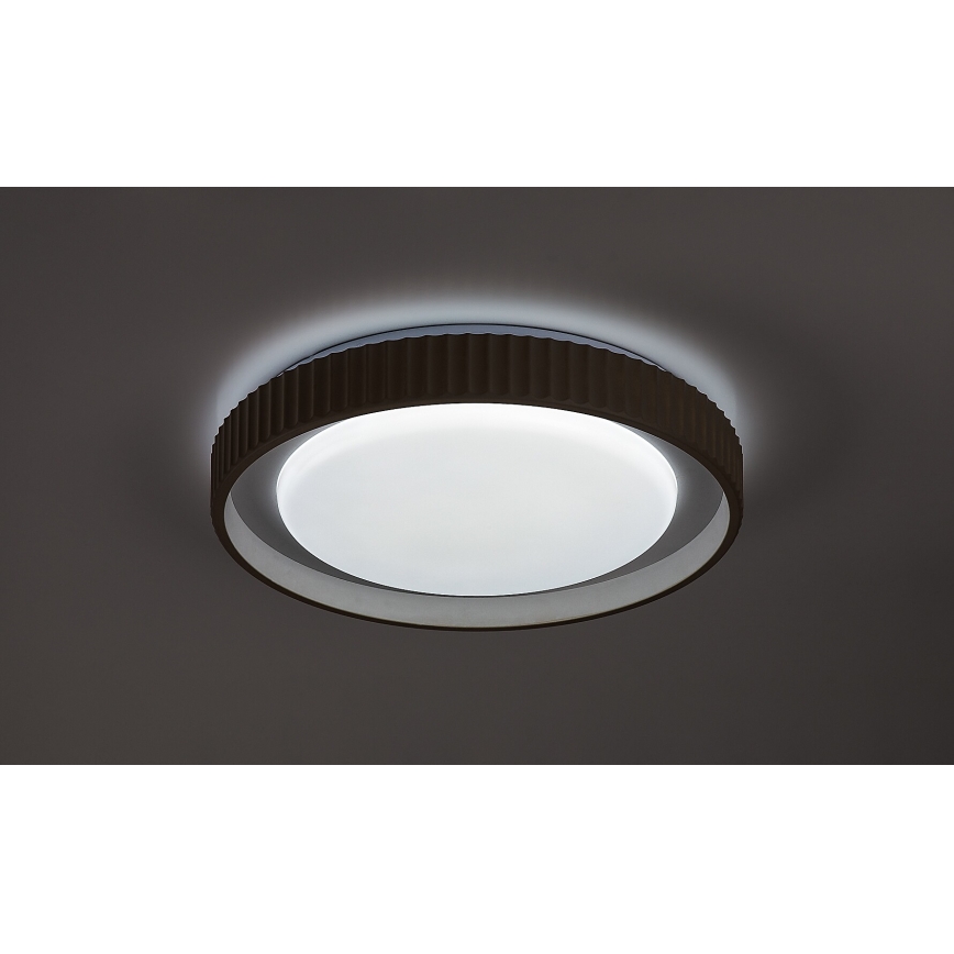 Rabalux - LED stropno svjetlo s prigušivanjem LED/48W/230V 3000-6500K Ø 49,5 cm + daljinski upravljač