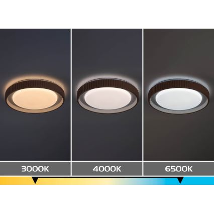 Rabalux - LED stropno svjetlo s prigušivanjem LED/48W/230V 3000-6500K Ø 49,5 cm + daljinski upravljač