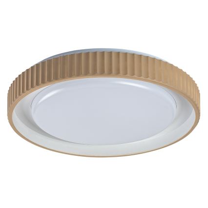 Rabalux - LED stropno svjetlo s prigušivanjem LED/48W/230V 3000-6500K Ø 49,5 cm + daljinski upravljač