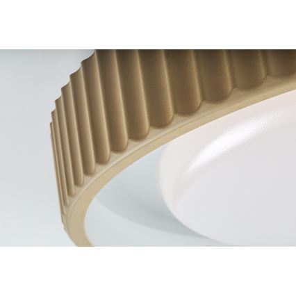 Rabalux - LED stropno svjetlo s prigušivanjem LED/48W/230V 3000-6500K Ø 49,5 cm + daljinski upravljač
