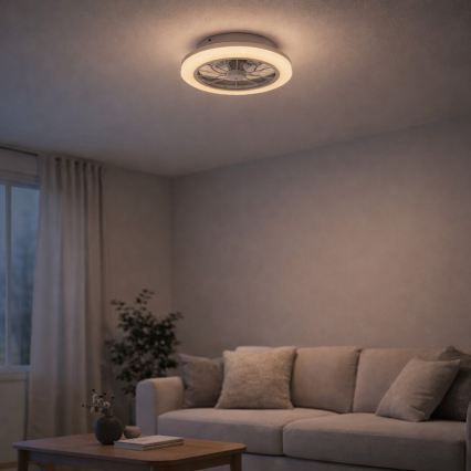 Rabalux - LED stropna svjetiljka s ventilatorom s mogućnošću prigušivanja LED/24W/230V 3000-6500K + daljinski upravljač
