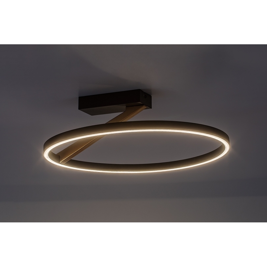 Rabalux - LED stropna svjetiljka LED/24W/230V 3000K Ø 45 cm