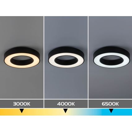 Rabalux - LED stropna svjetiljka LED/24W/230V 3000/4000/6500K Ø 40 cm crna