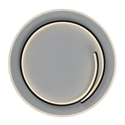 Rabalux - LED Stropna svjetiljka LED/40W/230V 4000K